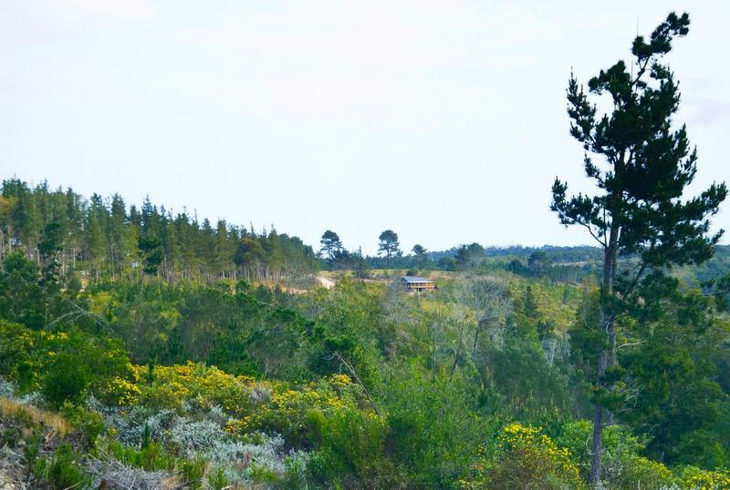 To Let 3 Bedroom Property for Rent in Plettenberg Bay Western Cape